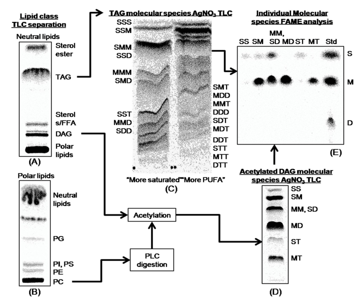 Figure 14.