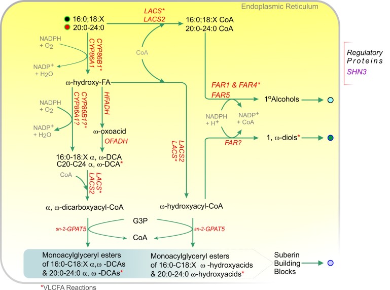 Figure 11.