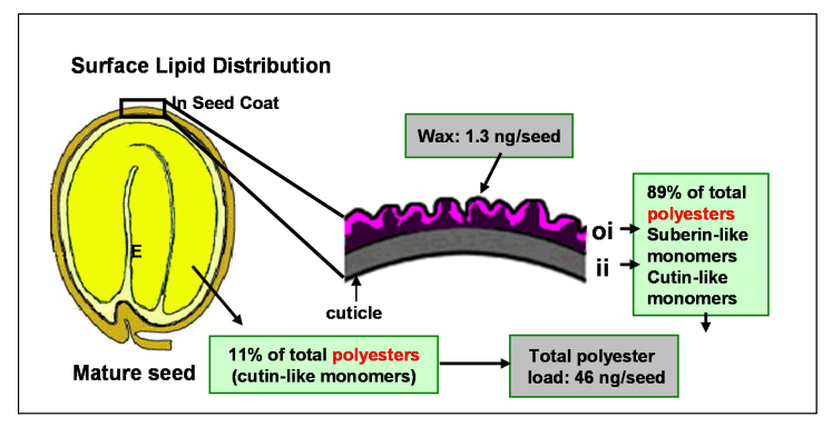 Figure 23.