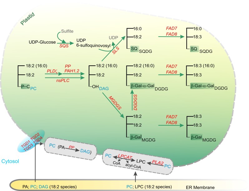 Figure 3.