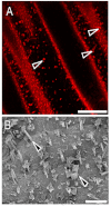 Figure 18.