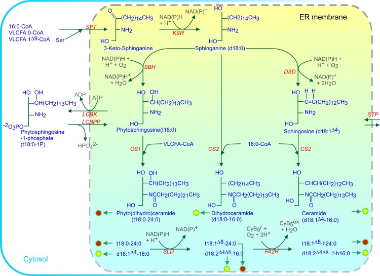 Figure 5.