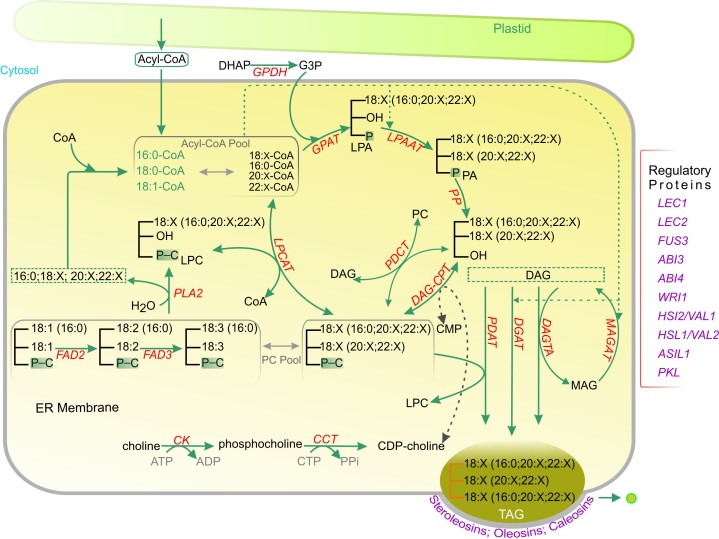 Figure 7.