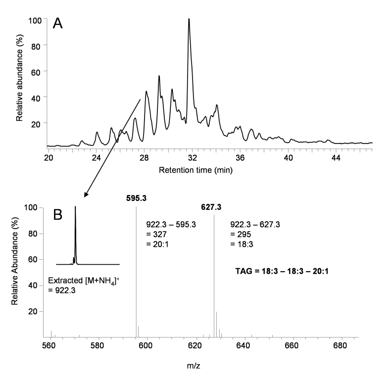 Figure 16.