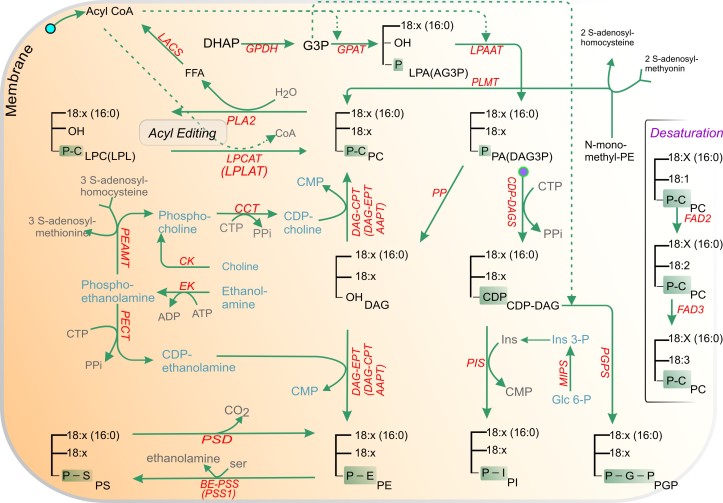 Figure 4.