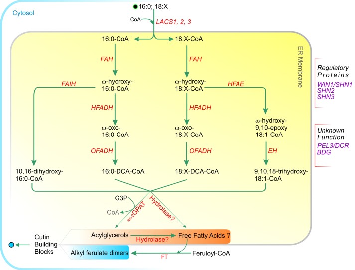 Figure 10.