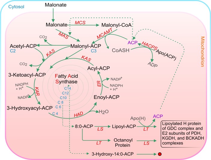 Figure 6.