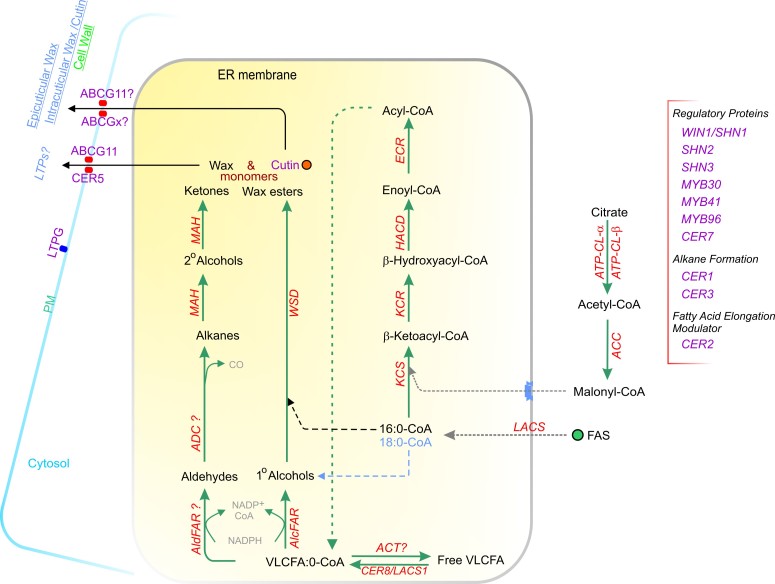 Figure 9.