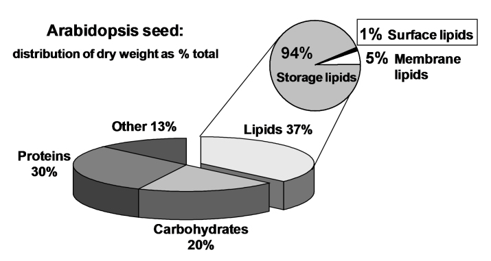 Figure 22.