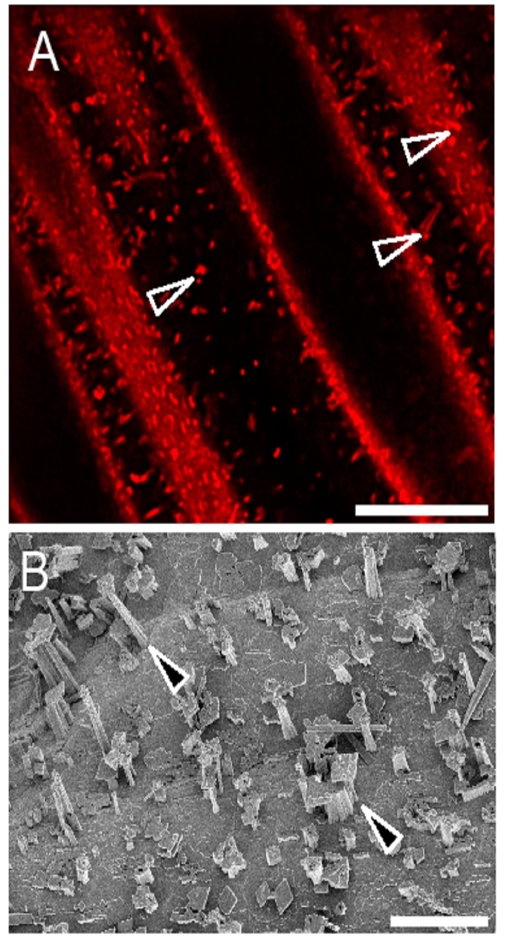 Figure 18.