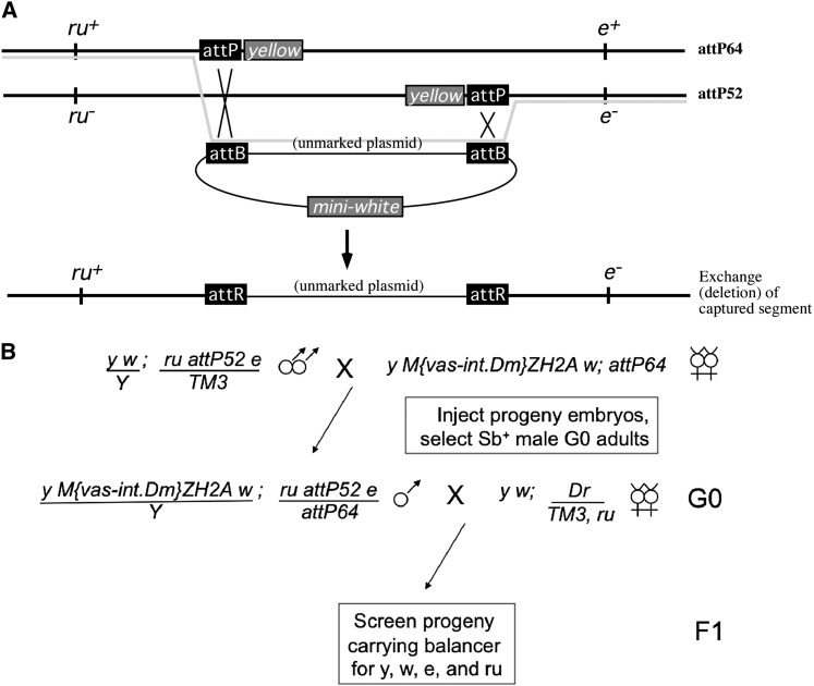 Figure 6 