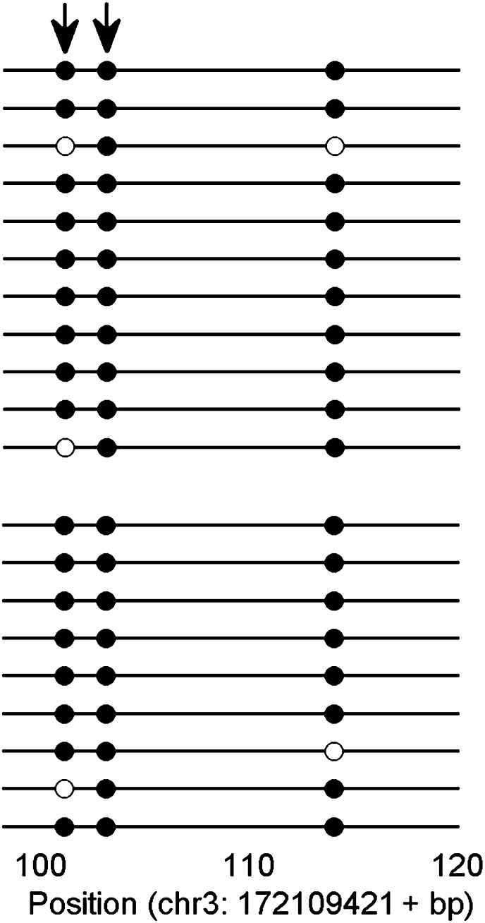 Figure 4—figure supplement 3.