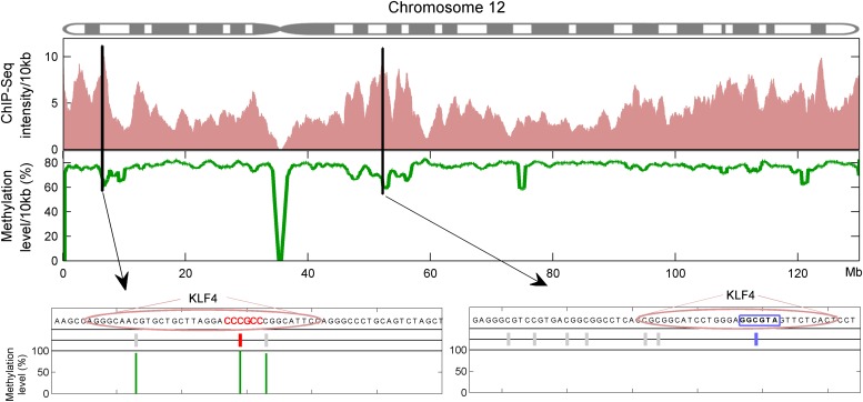 Figure 4—figure supplement 1.