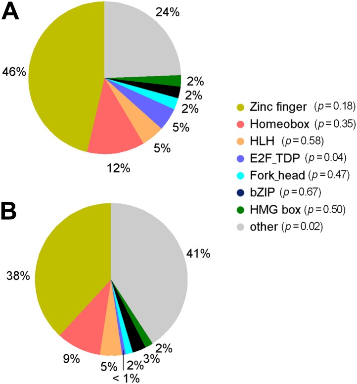 Figure 1—figure supplement 5.