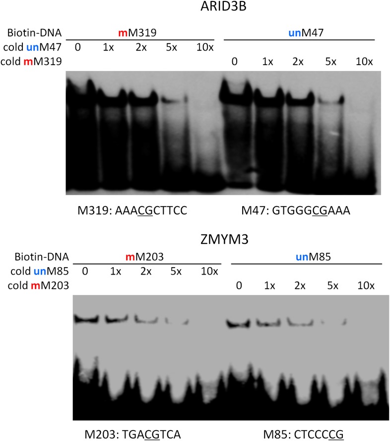 Figure 2—figure supplement 1.