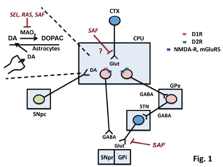 Fig. (1)