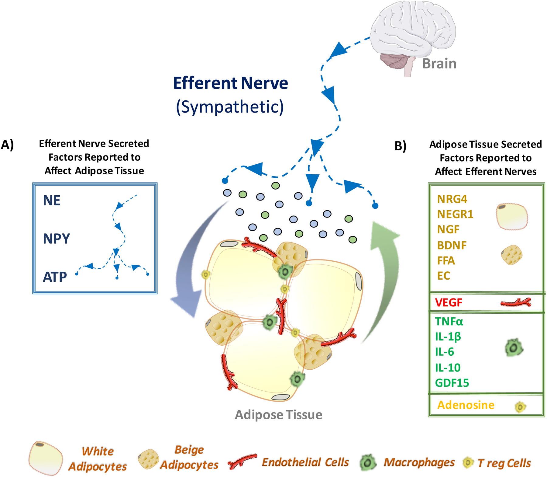 Figure 5: