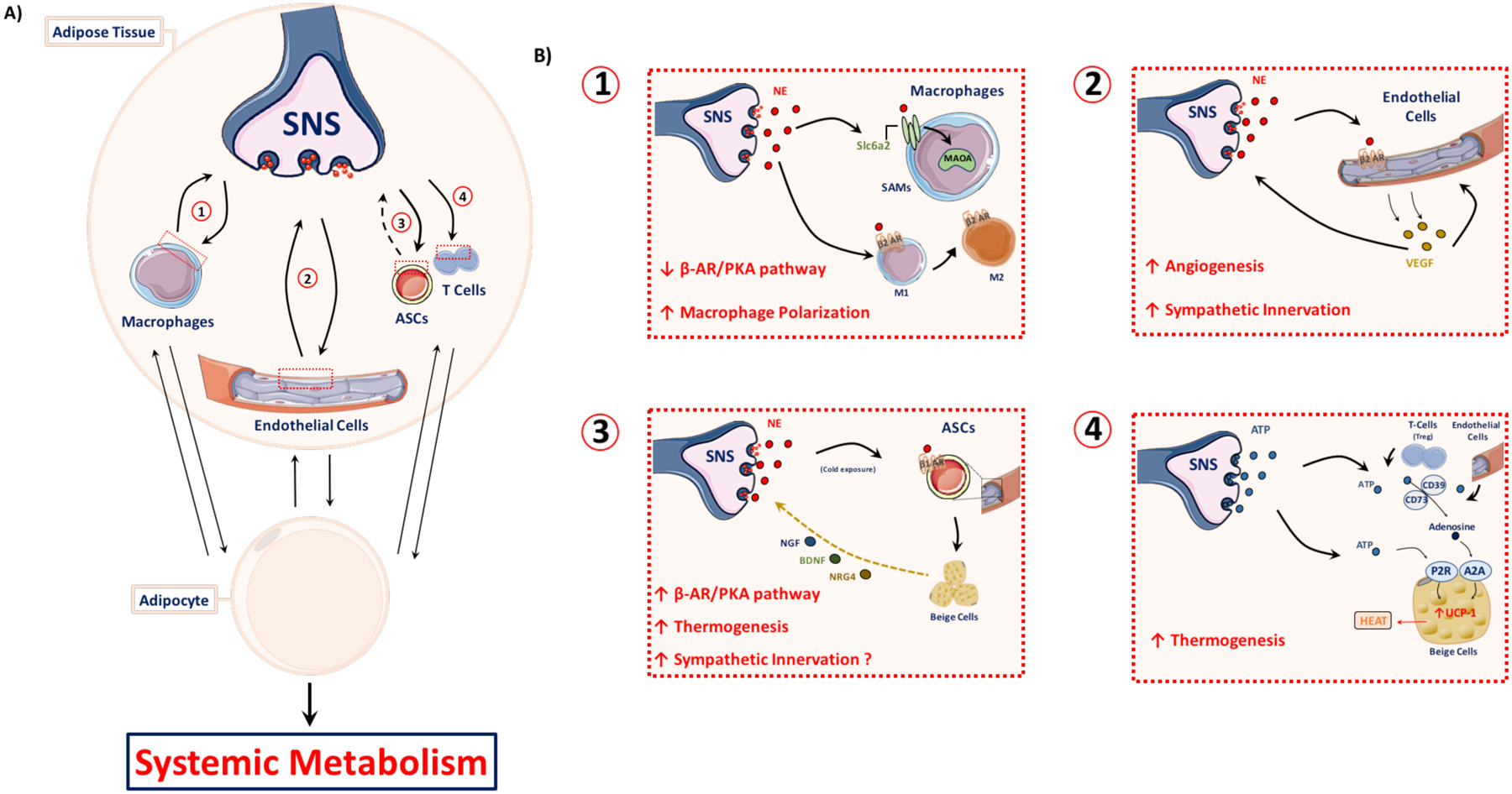 Figure 6: