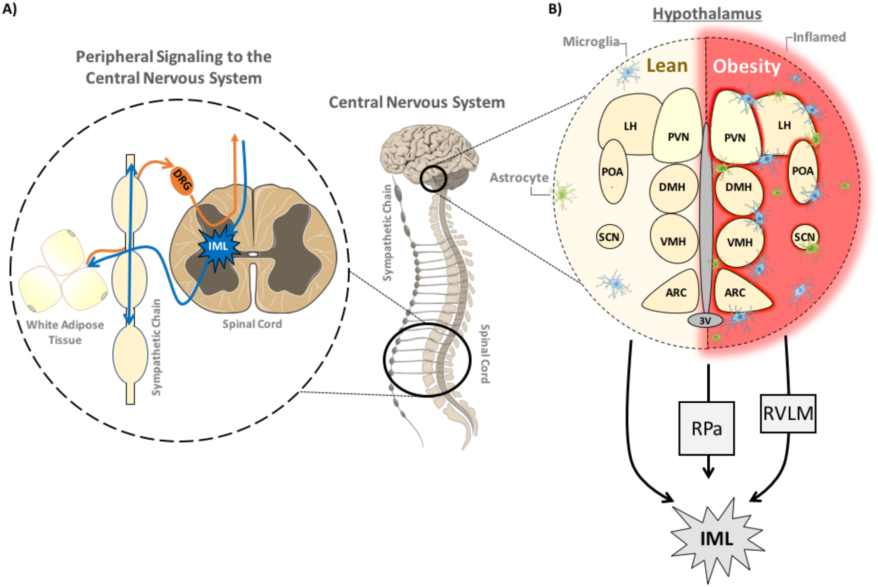 Figure 4: