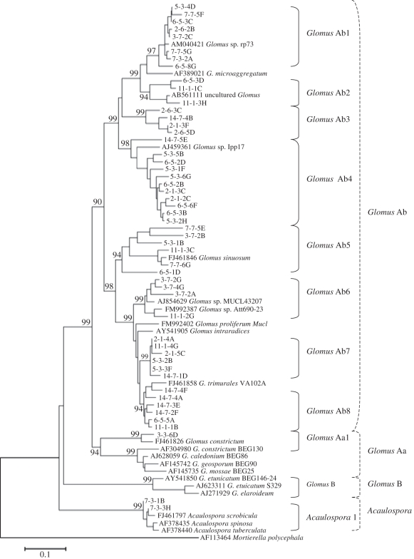 Figure 2.