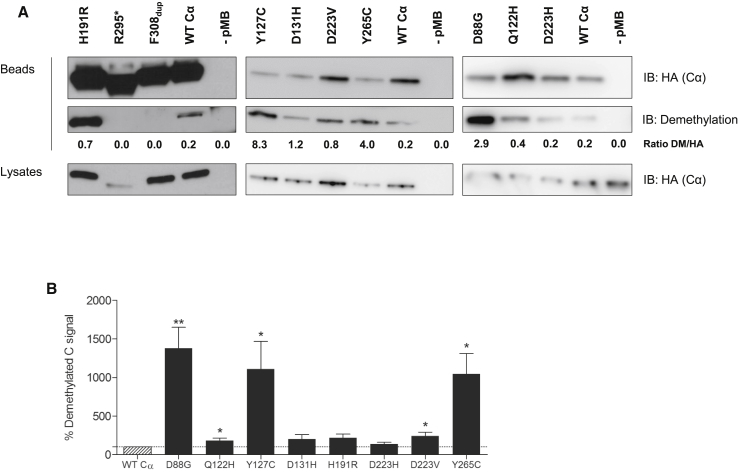 Figure 4