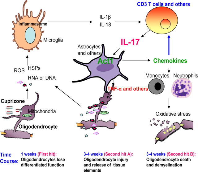 Figure 6.