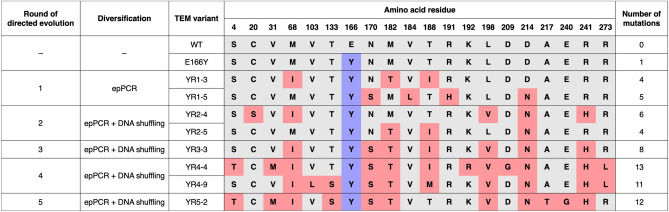 graphic file with name 41598_2021_91204_Tab2_HTML.jpg