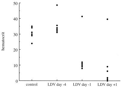 FIG. 3