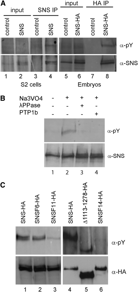 Figure 5.—