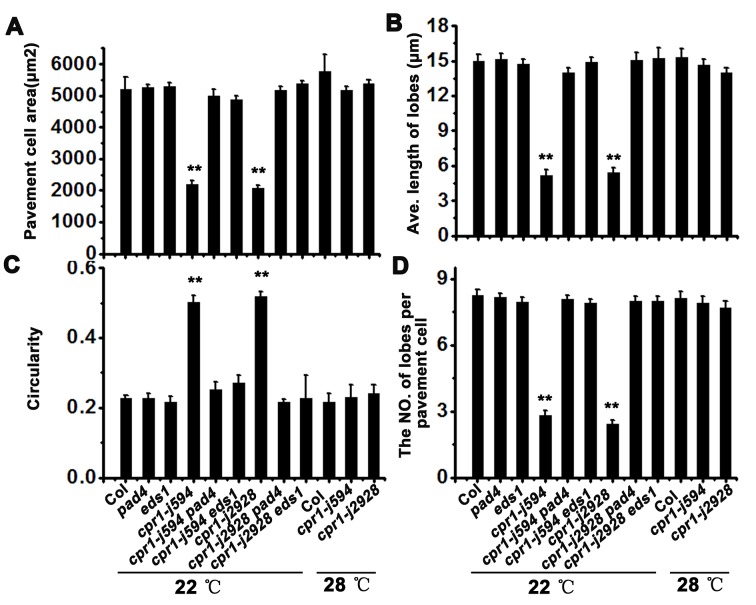 Fig 11