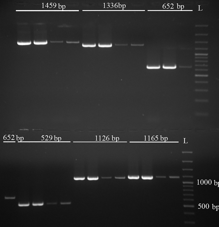 Fig 4