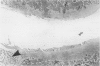 283