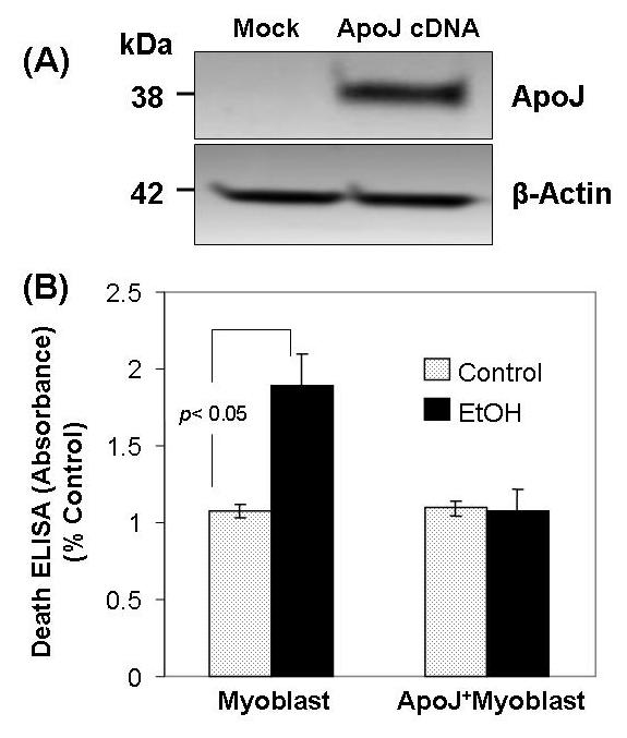 Fig.2