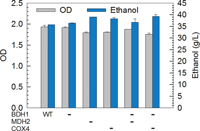 Fig 6