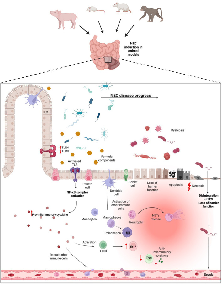 Figure 1