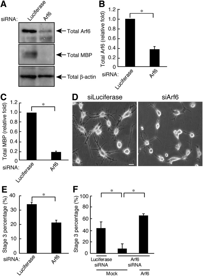 FIGURE 5: