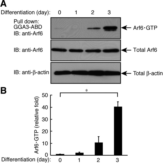 FIGURE 6: