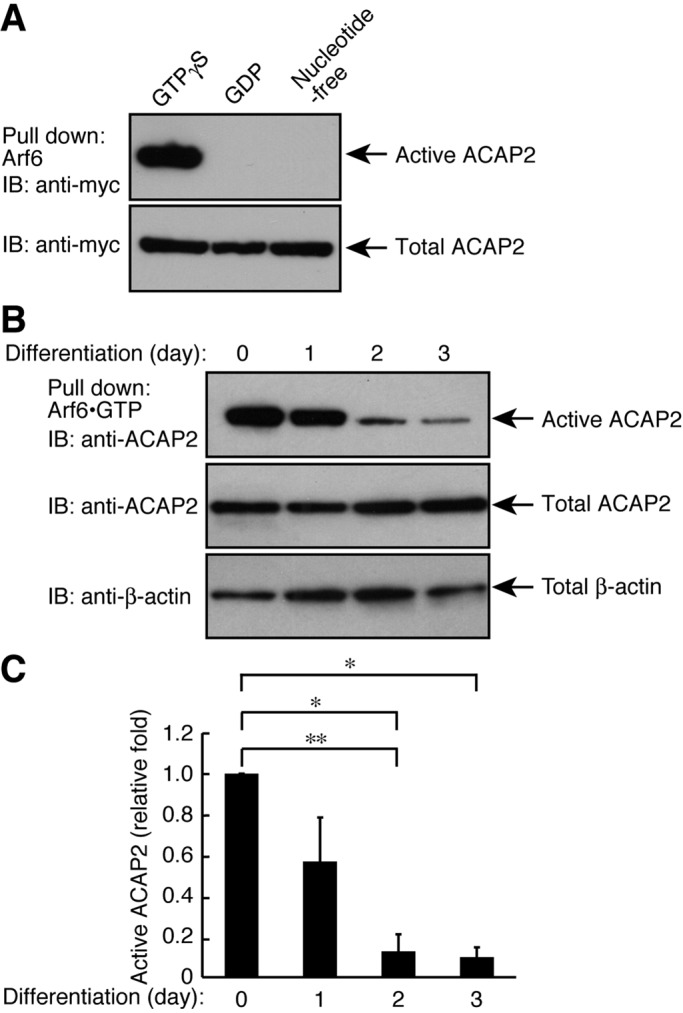 FIGURE 4: