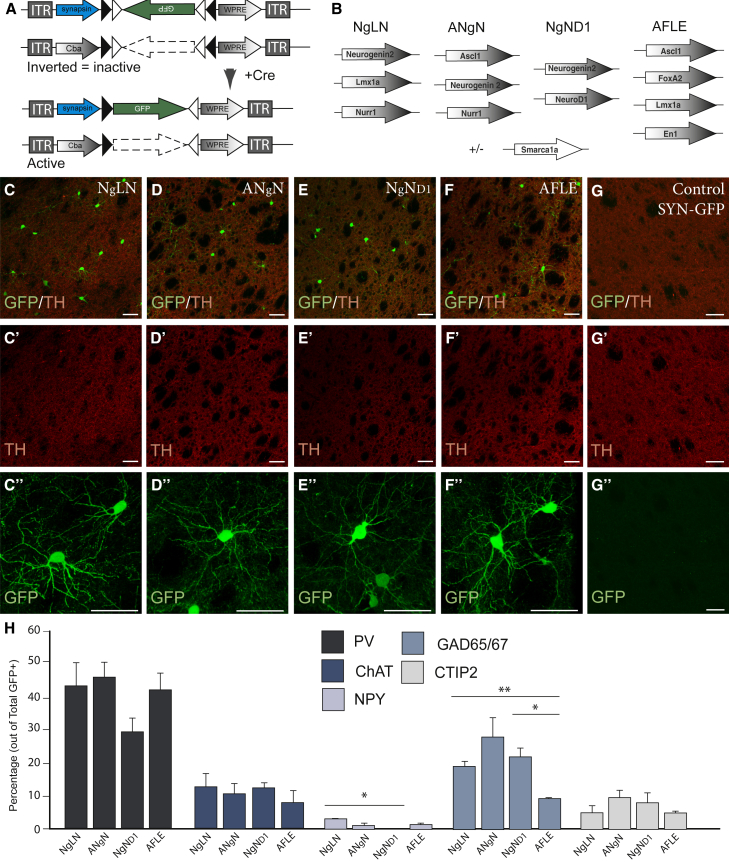 Figure 4