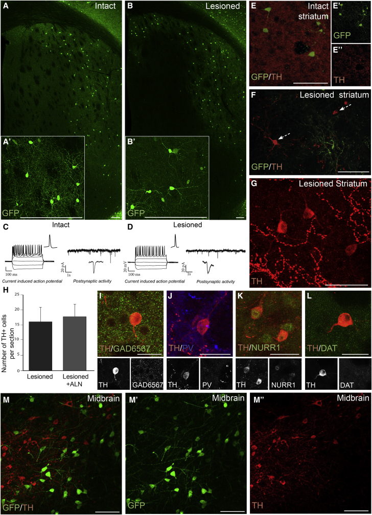 Figure 3