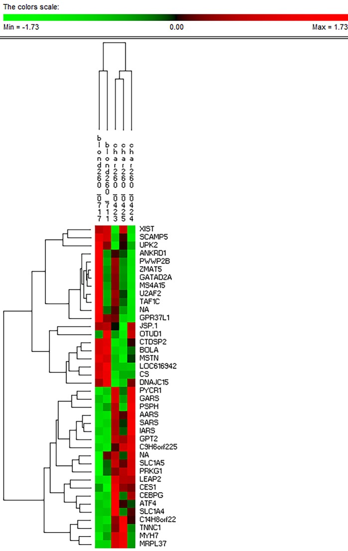 Fig. 5.