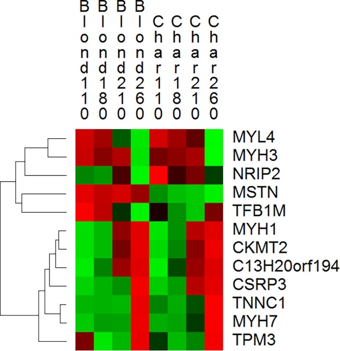 Fig. 4.