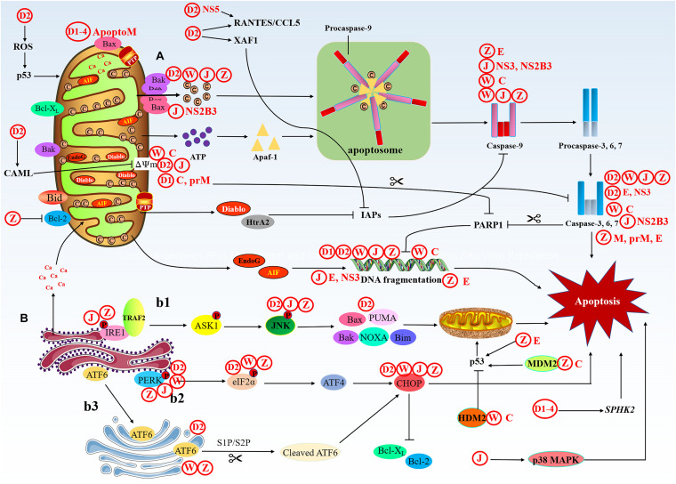 FIGURE 3