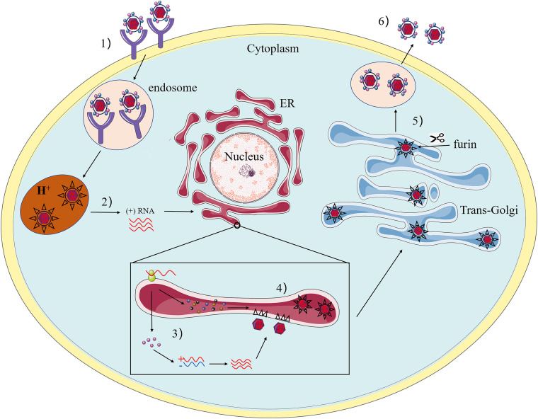 FIGURE 2