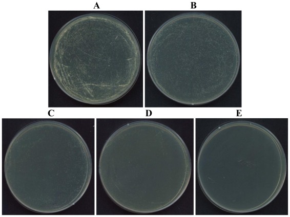 Figure 5