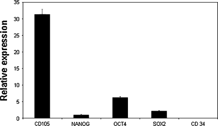 Fig. 2