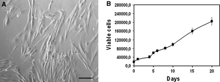 Fig. 1