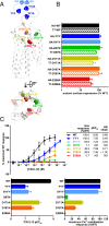 Fig. 2.