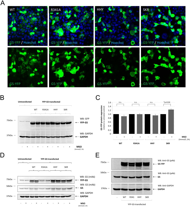 Fig 4