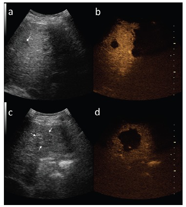 Fig. (6)